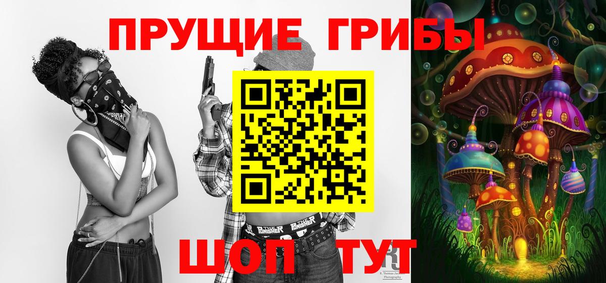 Псилоцибиновые грибы Cubensis  Вход с VPN  Псилоцибиновые грибы Psilocybe  Томск 